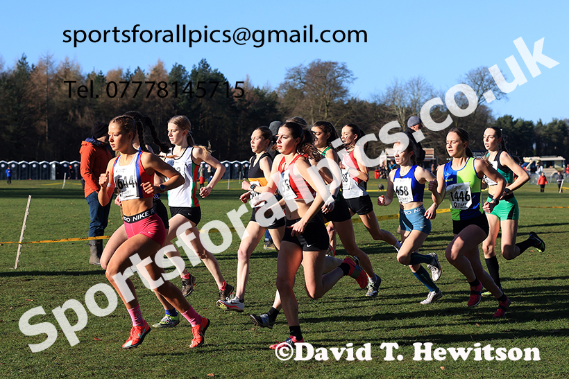 Junior Womens 2025 Northern Cross Country Champs, Tatton Park, Knutsford, Cheshire. Photo: David T. Hewitson/Sports for All Pics
